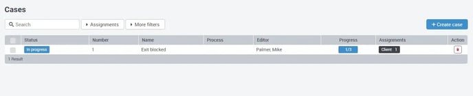 Create_cases_EN_03