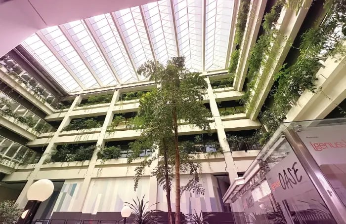 Lumière et plantes à la clinique UMG de Göttingen.