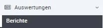 Auswertungen_berichte_anzeige
