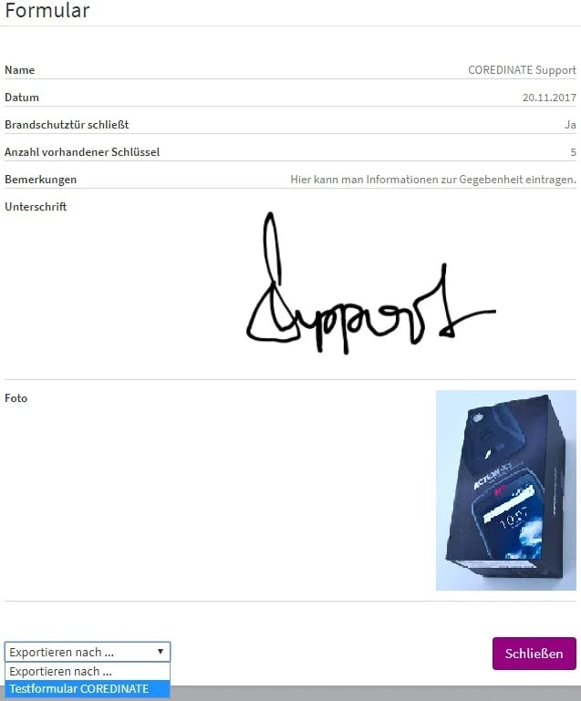 FlexForm_Formular_Aufgabenerledigung_Vorschau