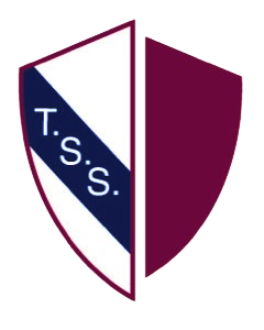 TSS, Tanta Security Service, logo, security company