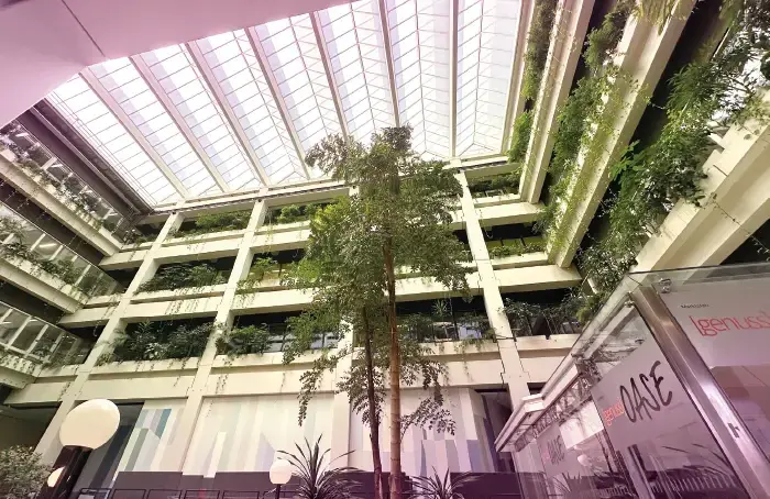 الضوء والنباتات في مستشفى UMG في غوتنغن.