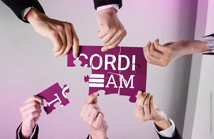 CORDI Team Puzzle