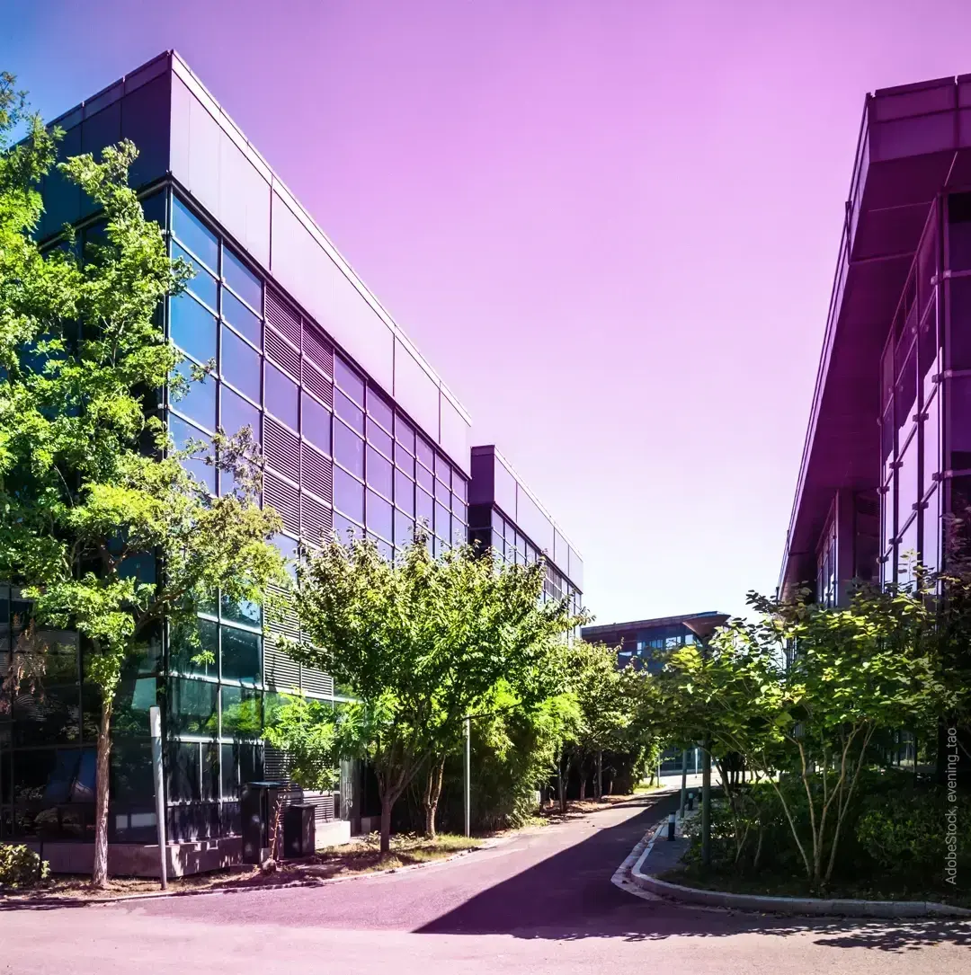 Company building, trees, violette sky