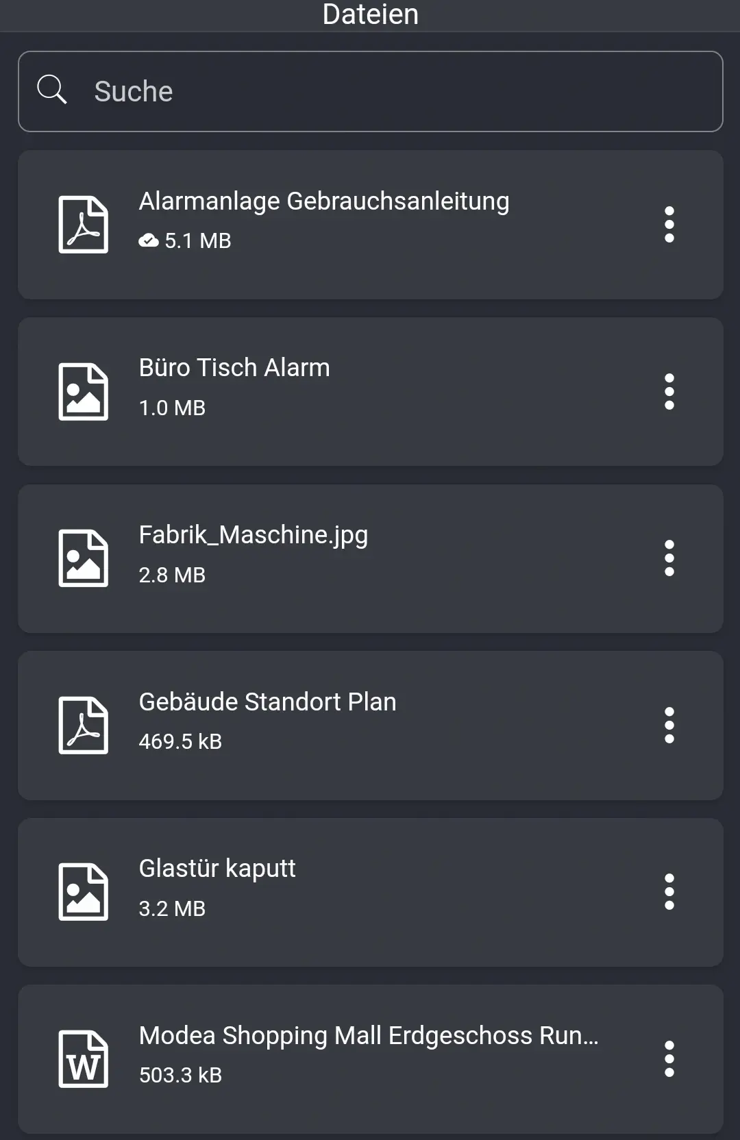 Dateimanager_in_der_App_02_DE