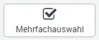 Mehrfachauswahl in das Formular einfügen